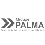 LOGO-GROUP-PALMA